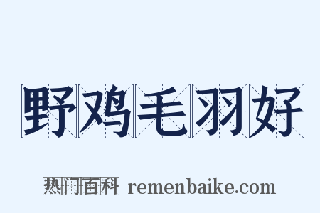 野鸡毛羽好是什么意思的图片